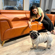 Load image into Gallery viewer, Bristol 3 Seater Sofa
